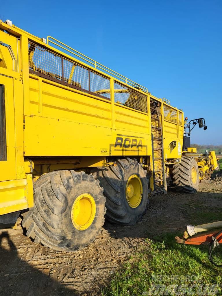 Ropa euro-Tiger Beet harvesters
