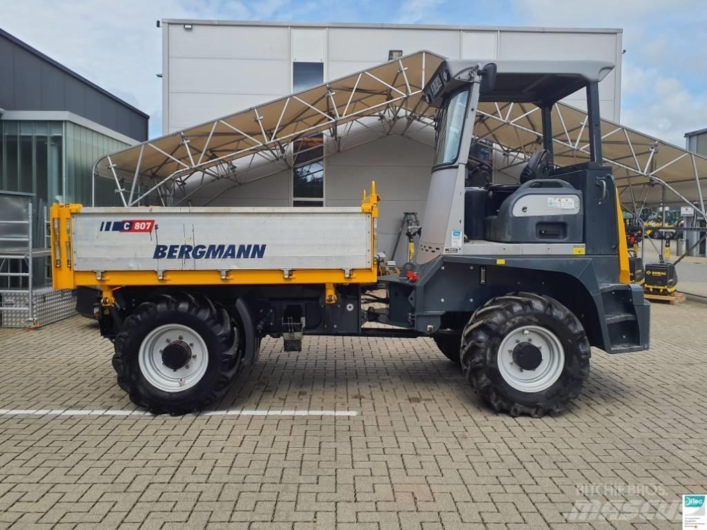 Bergmann C 807 S Zglobni demperji