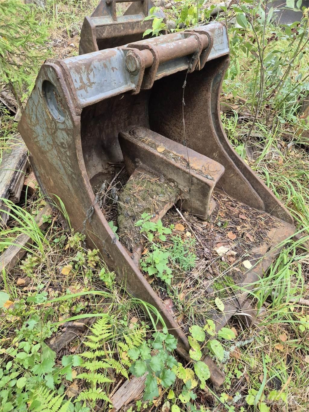 Lännen kynsikauha Žlice