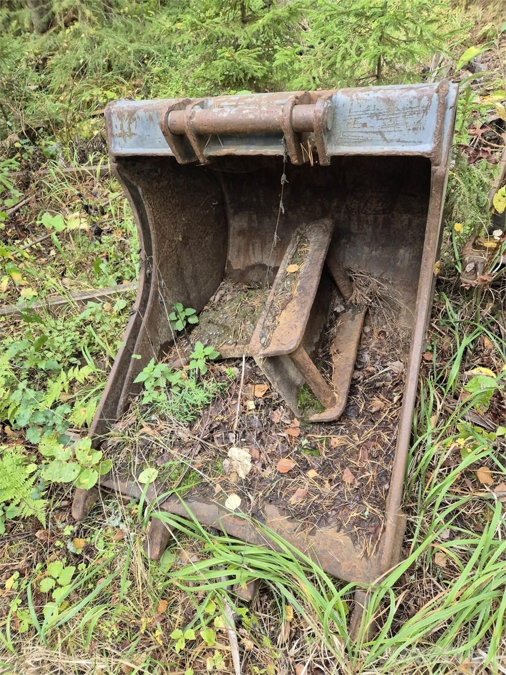 Lännen kynsikauha Žlice