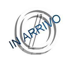 CAT 745 Zglobni demperji