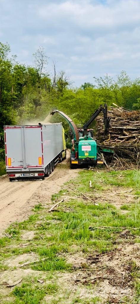 JENZ HEM 561Z Cepilniki, lesni drobilci, in žage
