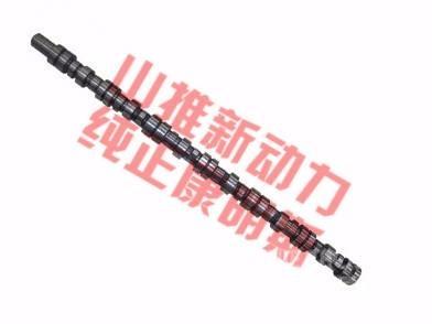 cummins 4298626 Motorji