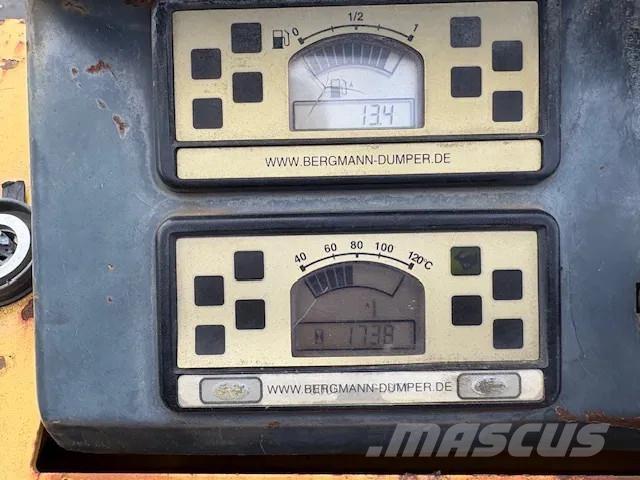 Bergmann 2050 Ne cestni demperji