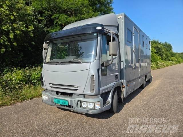 Iveco E 75 Tovornjaki za prevoz živine