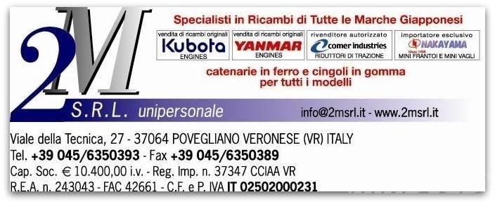 Yanmar TNV Motorji