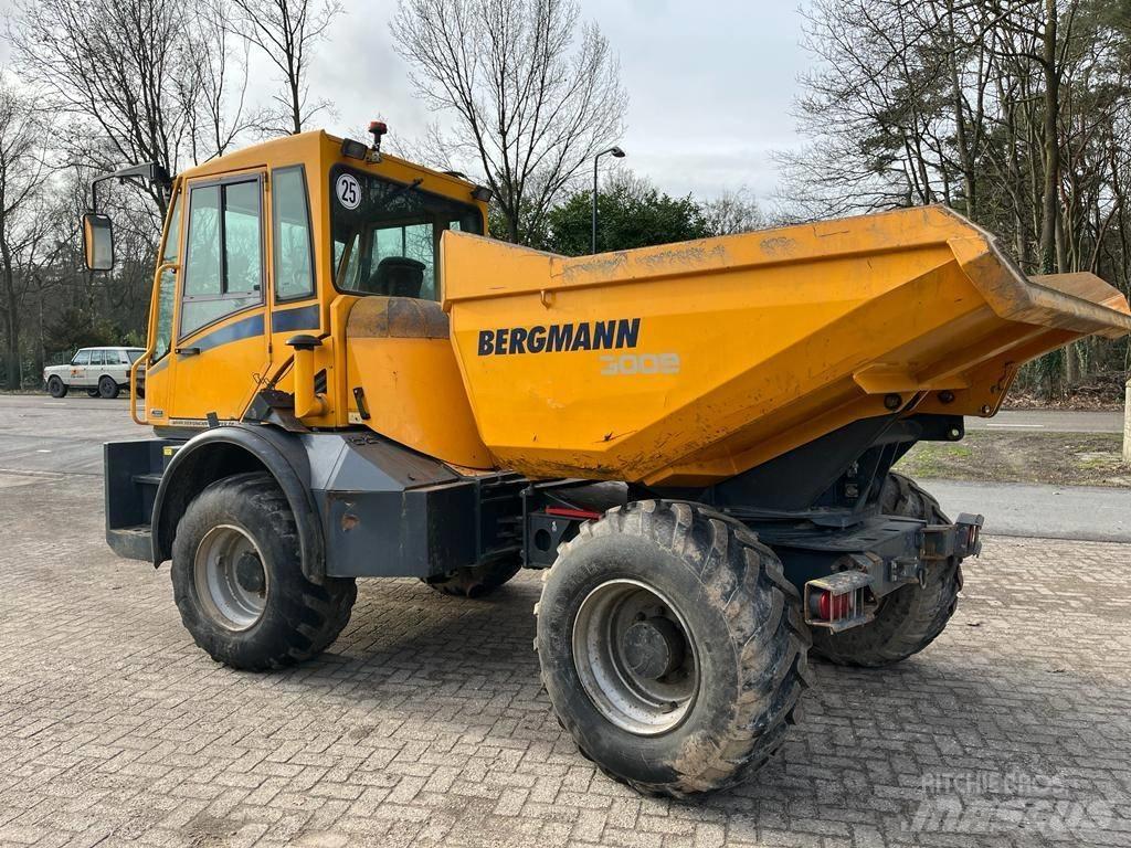 Bergmann 3009 R Zglobni demperji