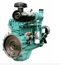 Cummins 6CT8.3-GM129 Motorji