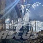 CAT 349EL Bagri goseničarji