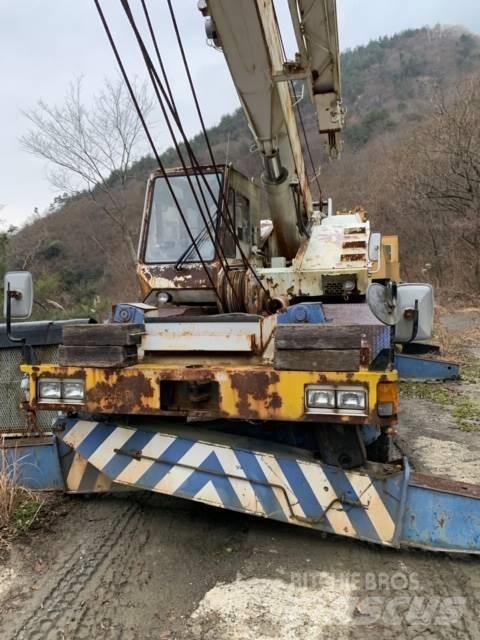 Tadano TR250M-4 Avtodvigala