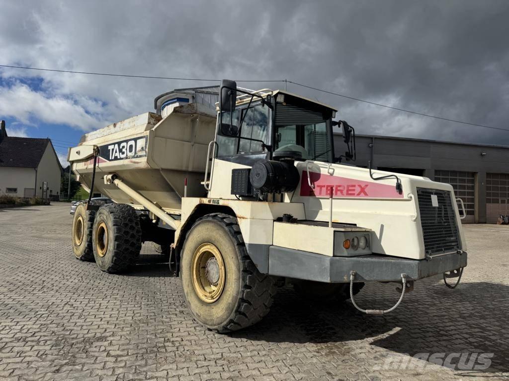 Terex TA 30 Zglobni demperji