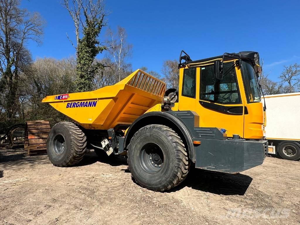 Bergmann C815S Zglobni demperji