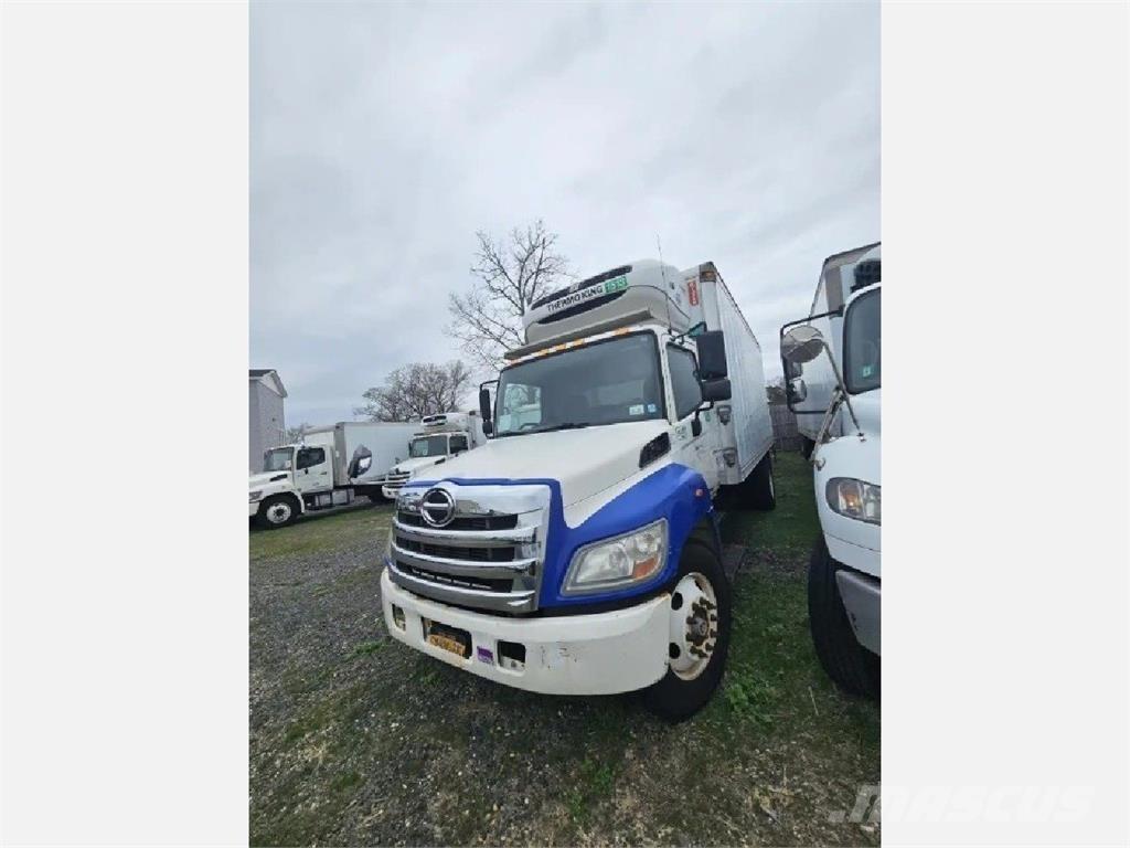 Hino 338 Tovornjaki hladilniki