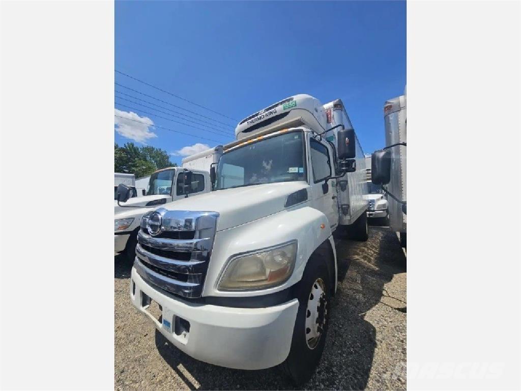 Hino 338 Tovornjaki hladilniki