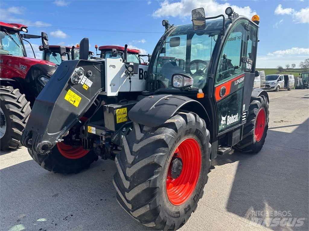 Bobcat TL34.65 Teleskopski viličarji