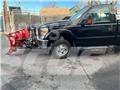Ford F 350 Tovornjaki s kesonom/platojem
