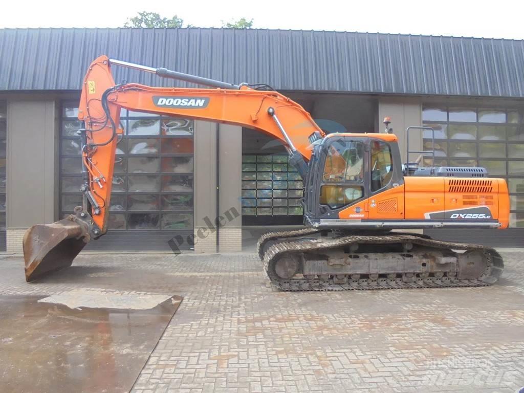 Doosan DX 255 LC-5 Bagri goseničarji