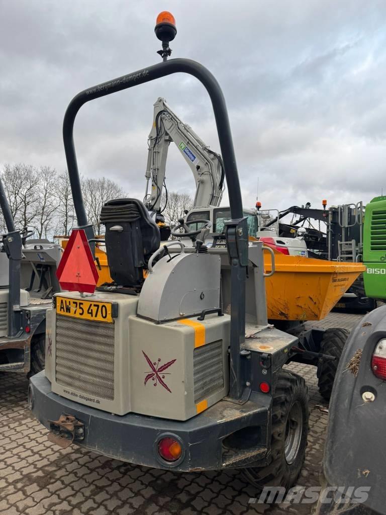 Bergmann 2030 HS Togi demperi