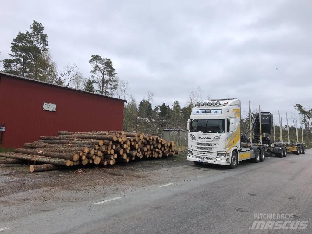 Scania R 650 Tovornjaki za hlode