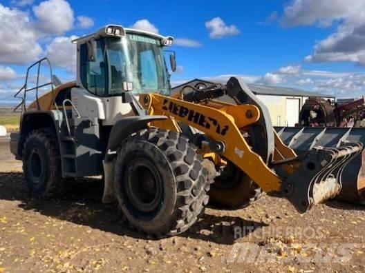 Liebherr L550 Drugo