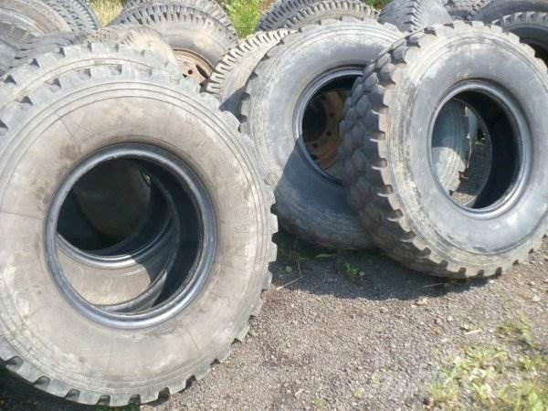 Michelin R20 365/85 XZL Gradbeništvo - drugo