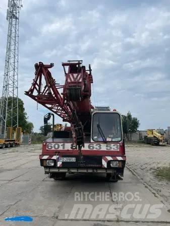 Liebherr LTM 1030 Rabljeni žerjavi za vsak teren