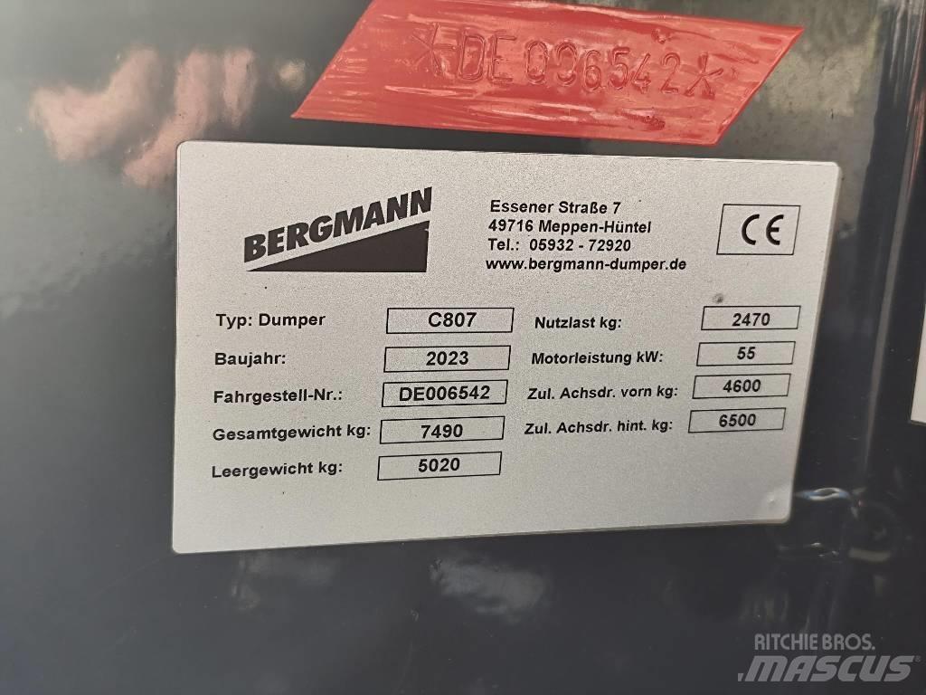 Bergmann C 807 S Zglobni demperji