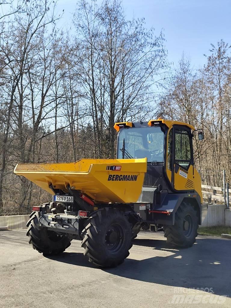 Bergmann C 807 S Zglobni demperji