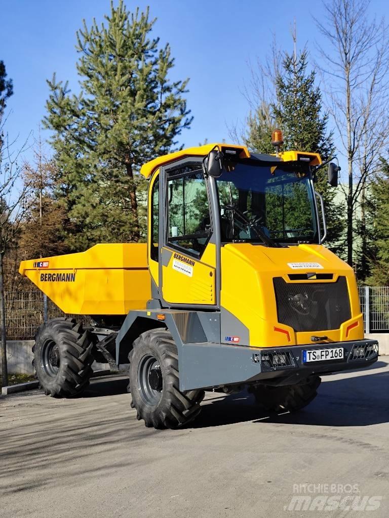 Bergmann C 807 S Zglobni demperji