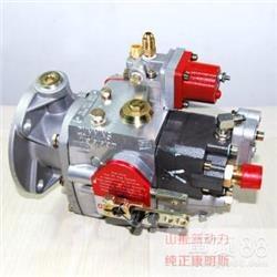 Cummins 4951451-20 Motorji