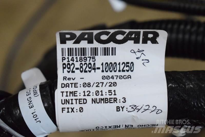 Paccar  Druge komponente