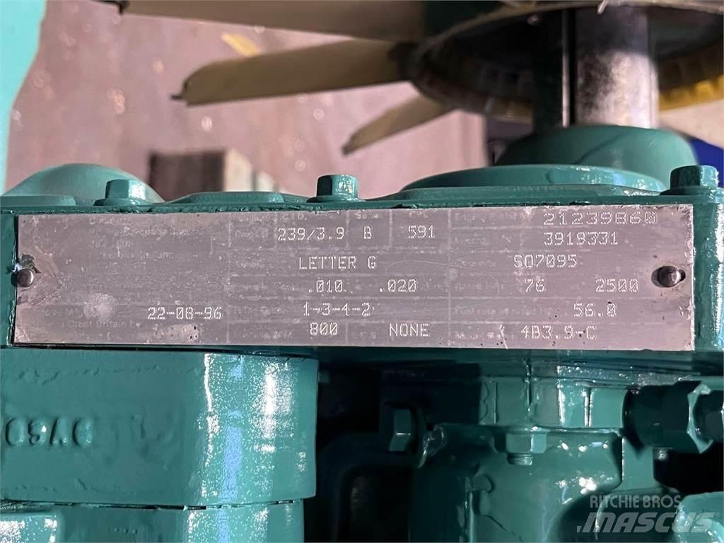 Cummins 4B3.9-C motor Motorji