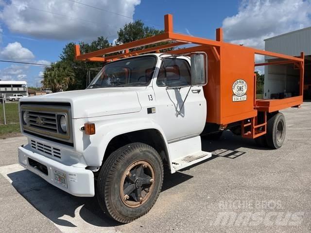 Chevrolet C7 Tovornjaki s kesonom/platojem