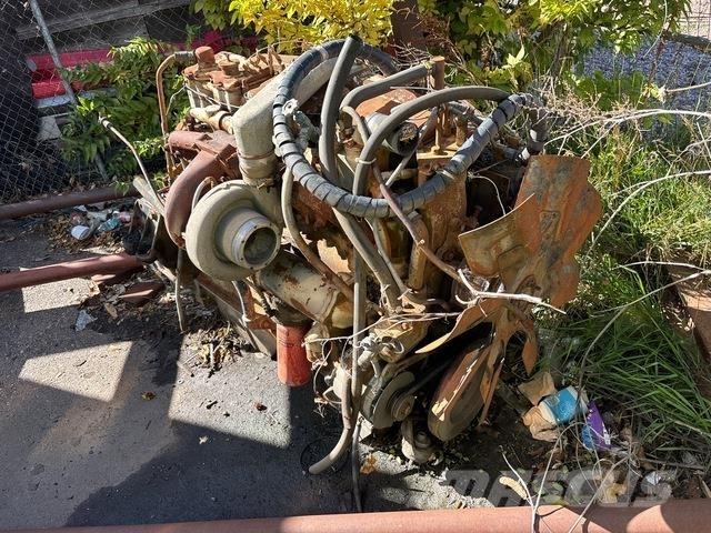 Cummins  Motorji