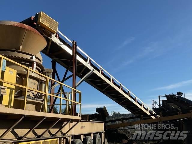  Reesco 36X60 Transportni trakovi