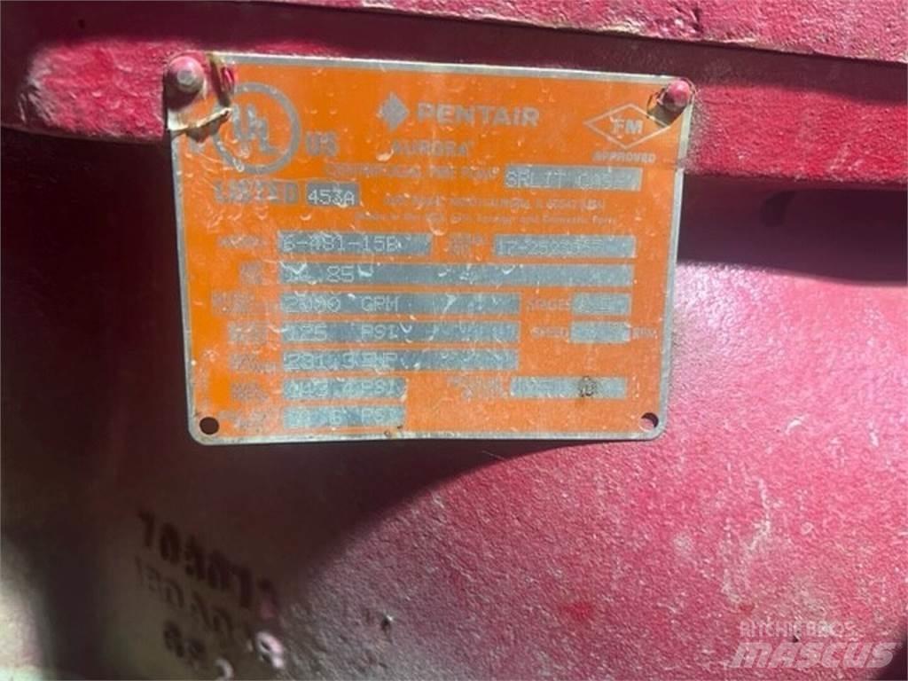  PENTAIR 6-481-15B Motorji
