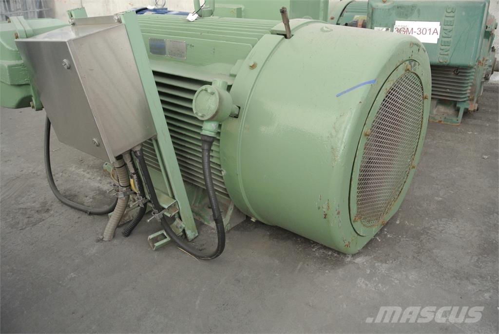 Siemens CGZZ Industrijski motorji