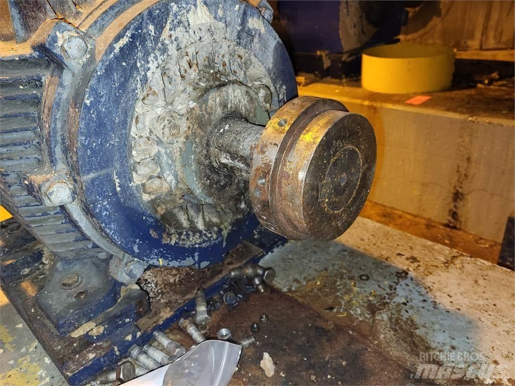 Siemens RGZSD Industrijski motorji