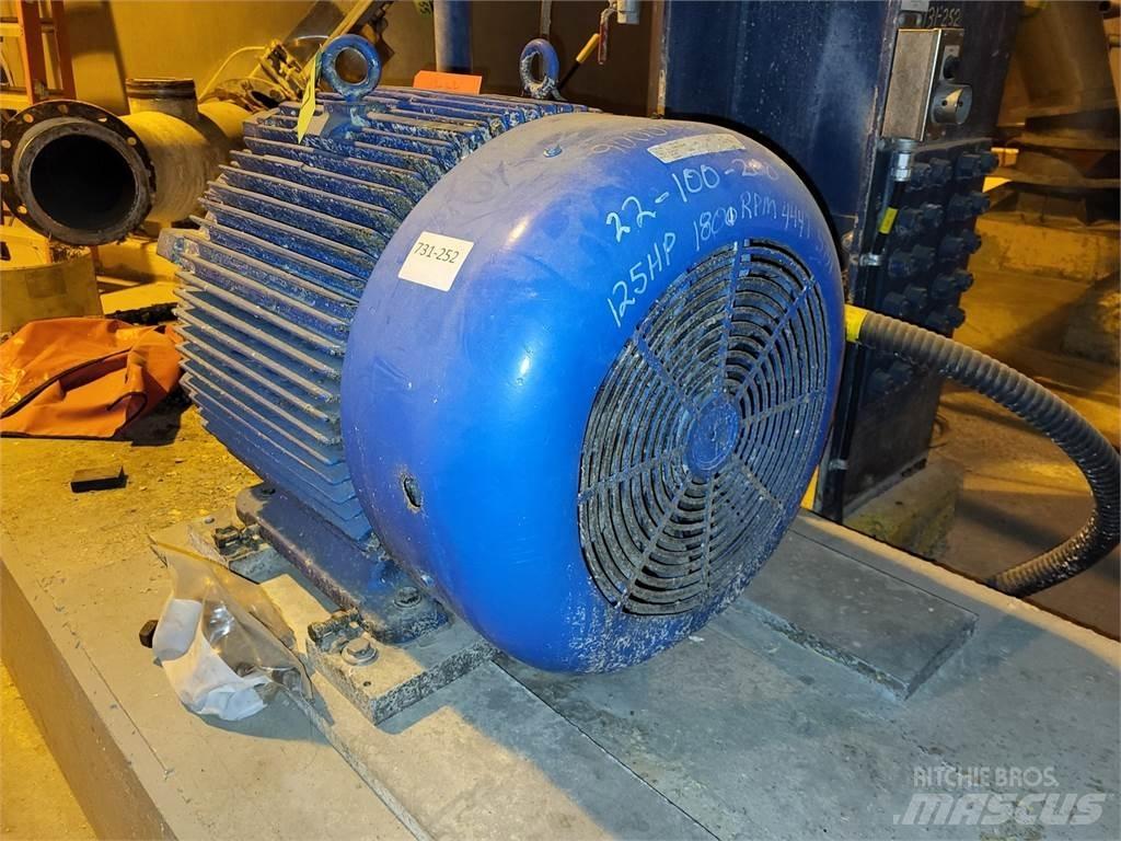 Westinghouse  Industrijski motorji
