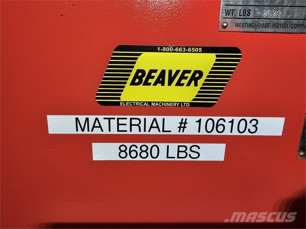 Westinghouse  Industrijski motorji