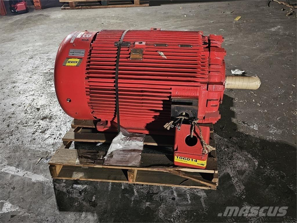 Westinghouse HSBN Industrijski motorji