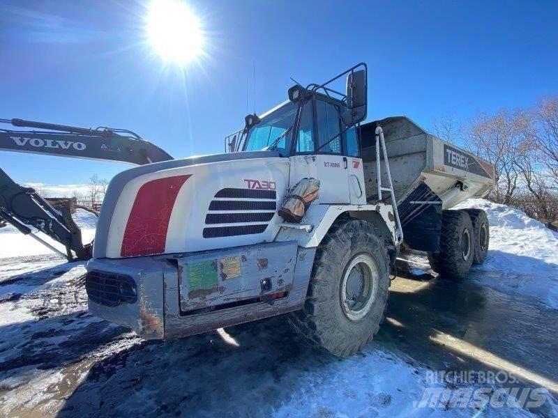 Terex TA30 Zglobni demperji