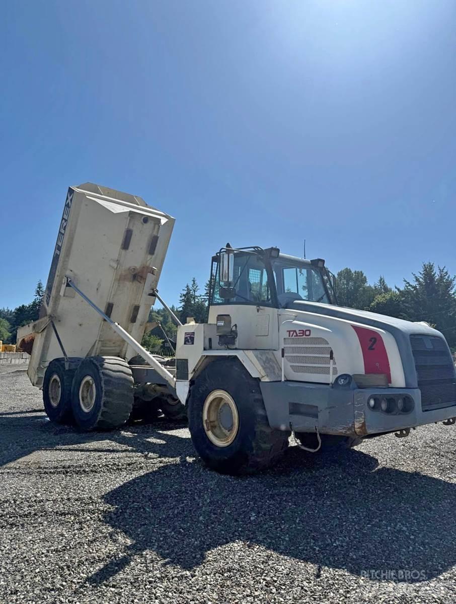 Terex TA30 Dostavna vozila / kombiji