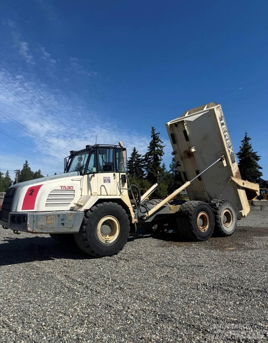 Terex TA30 Dostavna vozila / kombiji
