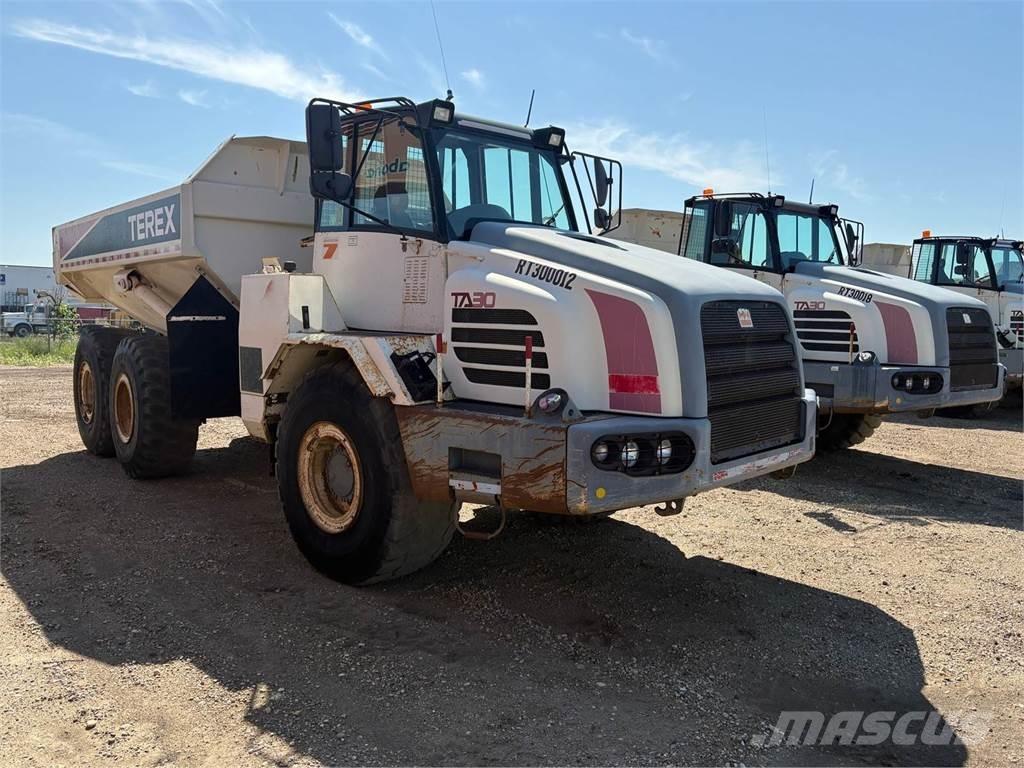 Terex TA30 Zglobni demperji