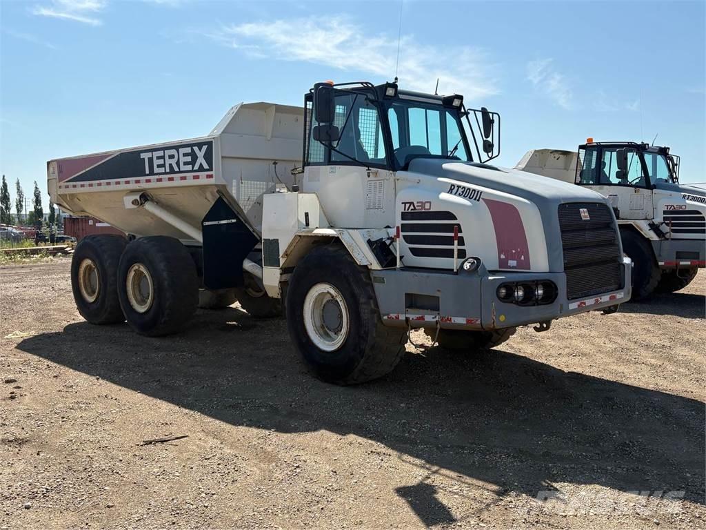 Terex TA30 Zglobni demperji