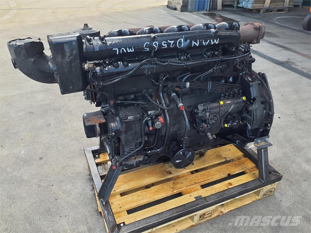 MAN D2565 MUL Motorji