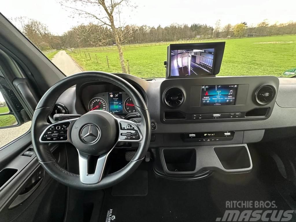 Mercedes-Benz Sprinter 315 AMG 2-paards paardenvrachtwagen B-rij Tovornjaki za prevoz živine