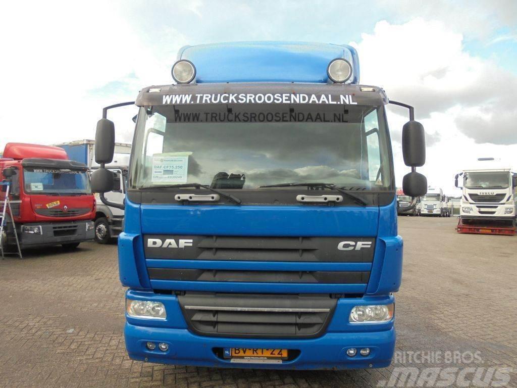 DAF CF 75.250 + Euro 5 Tovornjaki-šasije