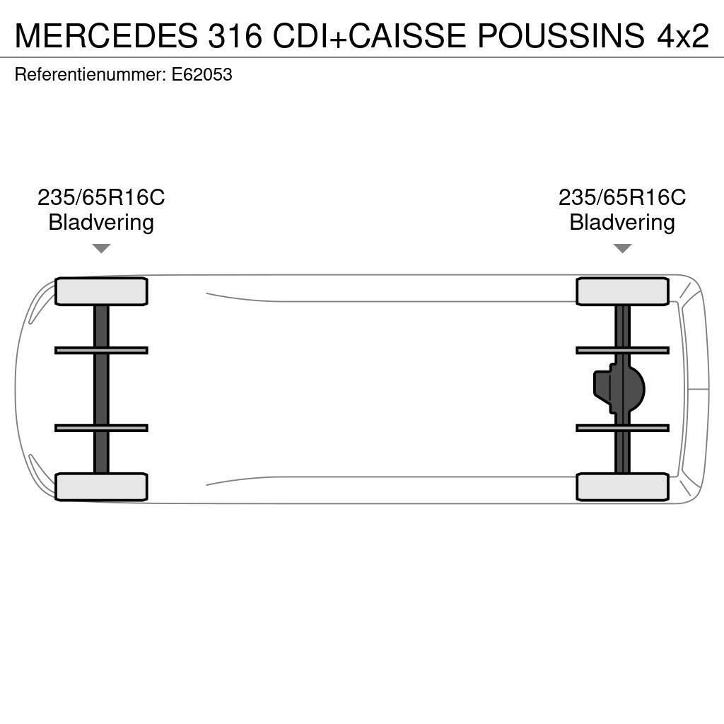 Mercedes-Benz 316 CDI+CAISSE POUSSINS Hladilna tovorna vozila